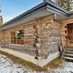 log house made of dead pine