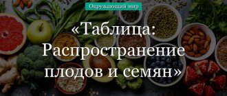 Распространение плодов и семян таблица с примерами (3 класс, окружающий мир)